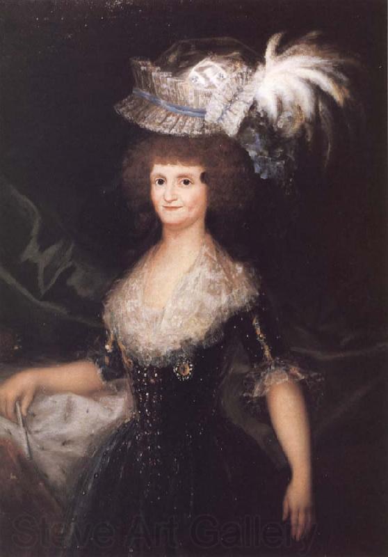 Francisco Goya Carlos IV France oil painting art